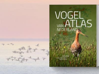 Headerfoto met de Vogelatlas van Nederland