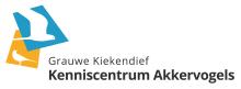 Grauwe Kiekendief - Kenniscentrum Akkervogels