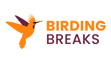 Birding Breaks