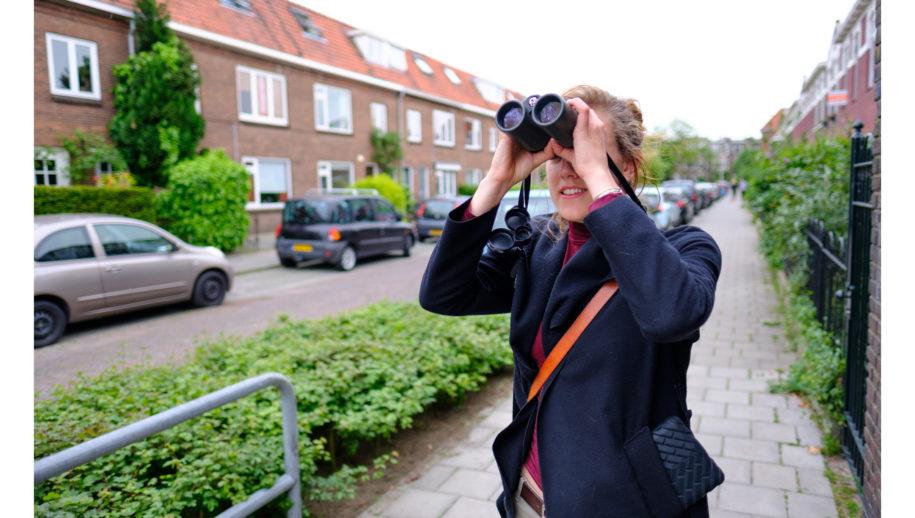 Vogels tellen in de stad