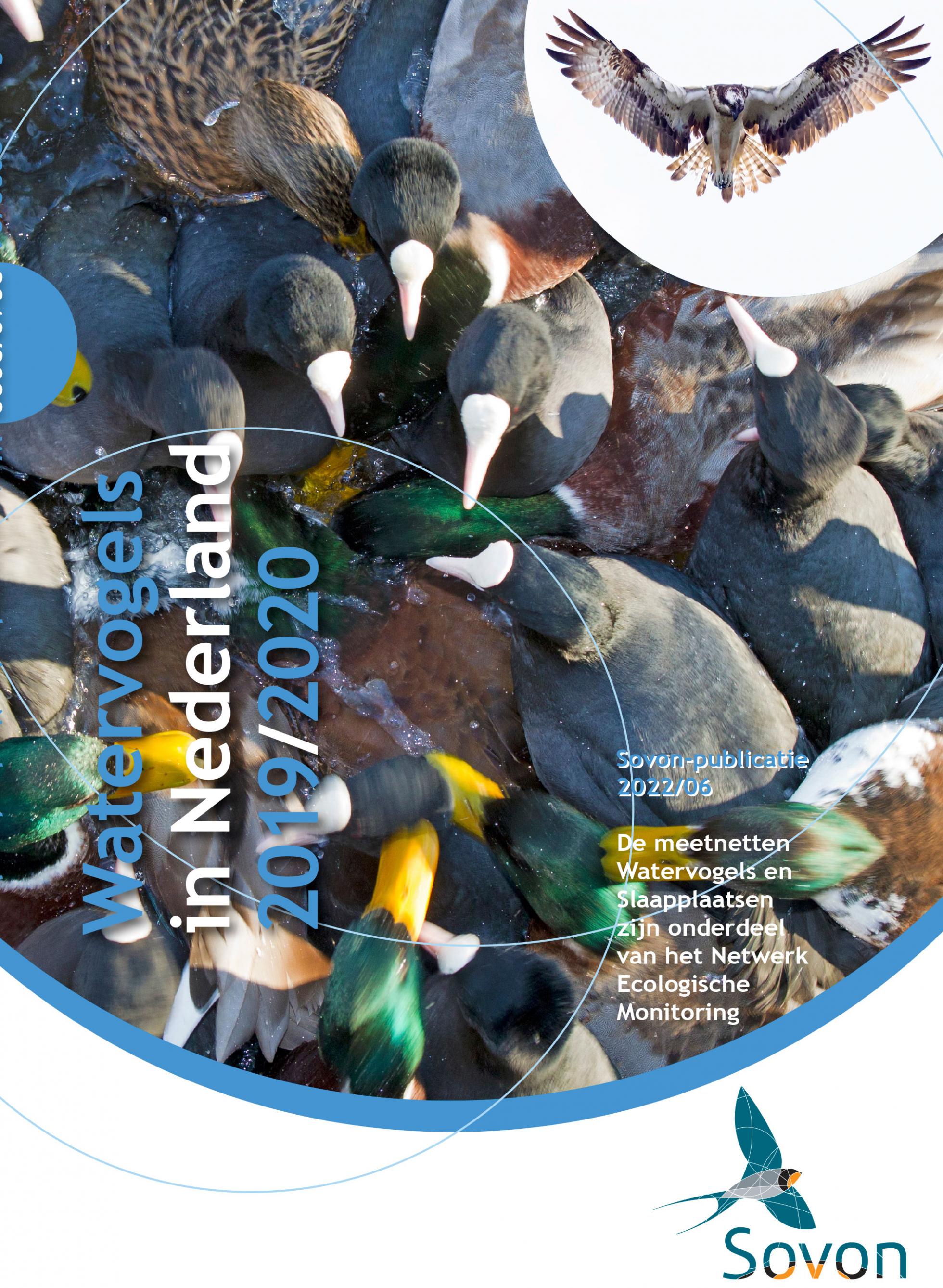 Watervogels in Nederland 2019/2020