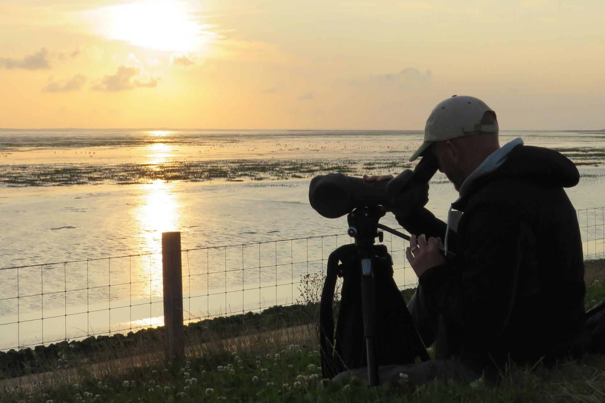 Vogelaar kijkt over het Wad