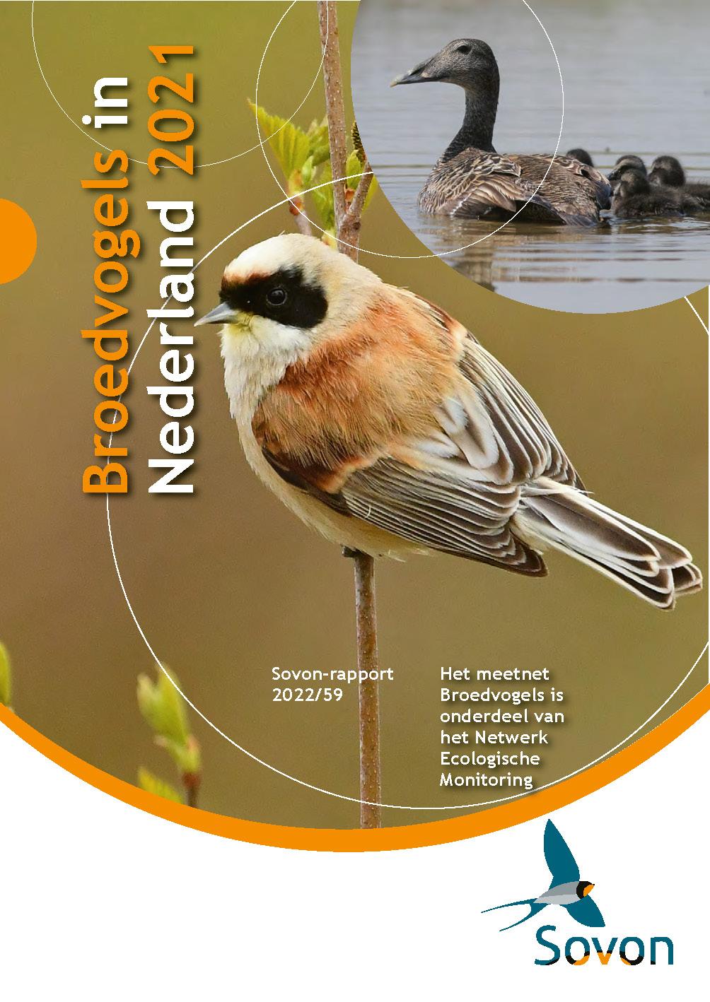 Broedvogelrapport 2021