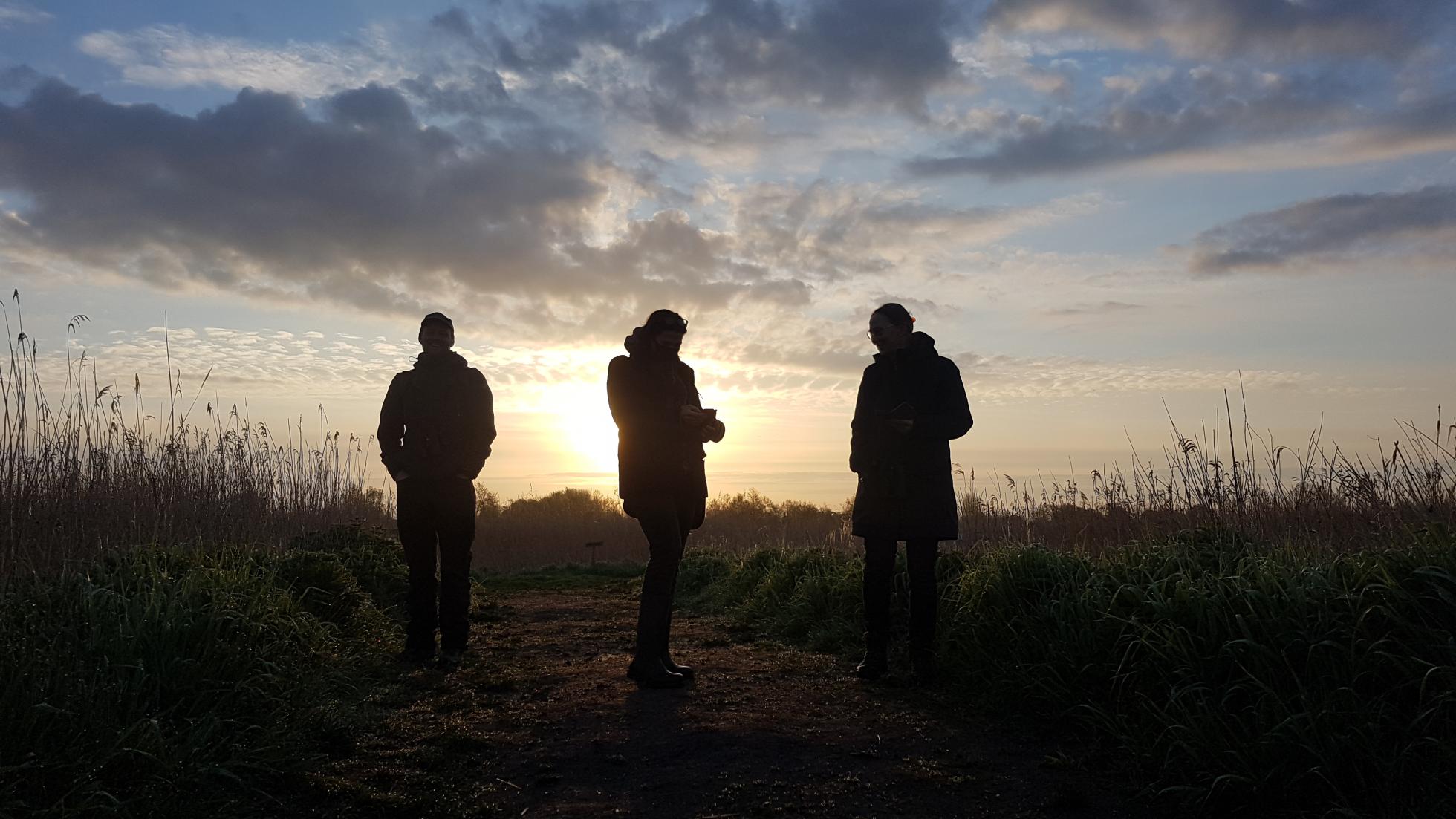 Tellers in vroege ochtend