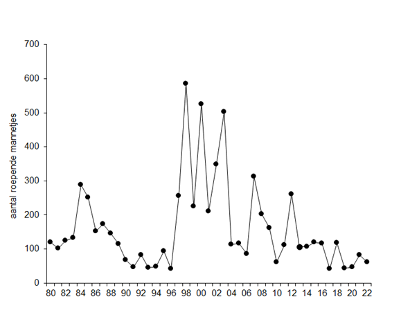  Figuur 1. Trend van aantal Kwartelkoningen in Nederland sinds 1980 (Meetnet Broedvogels Sovon).