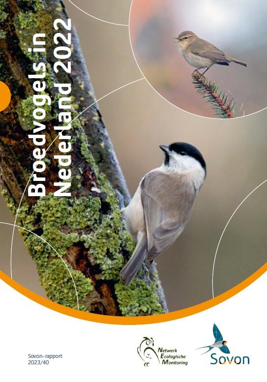 Rapport Broedvogels in Nederland 2022 is gepubliceerd