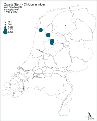 Zwarte Stern slaapplaatsen Nederland