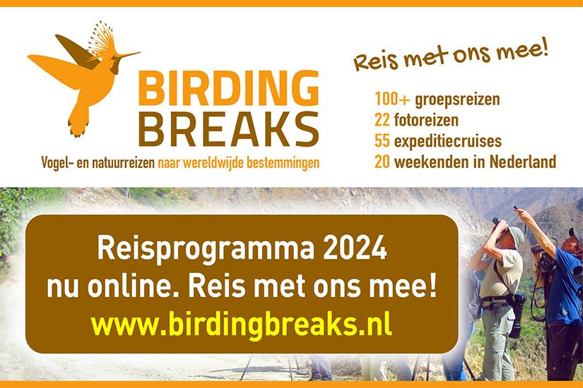 Advertentie Birding Breaks