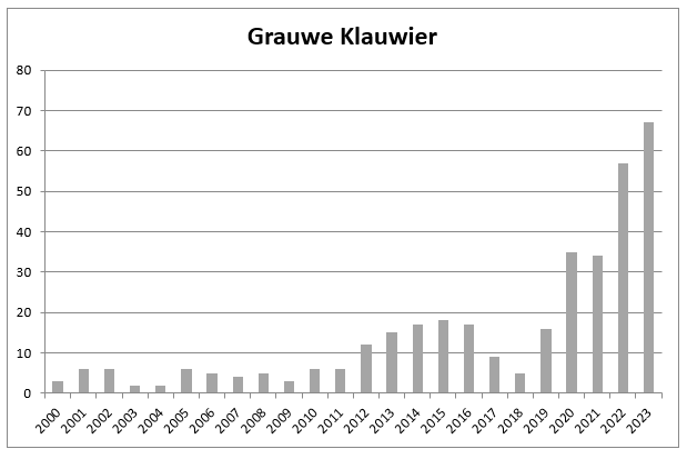 Aantallen van de Grauwe Klauwier in Twente