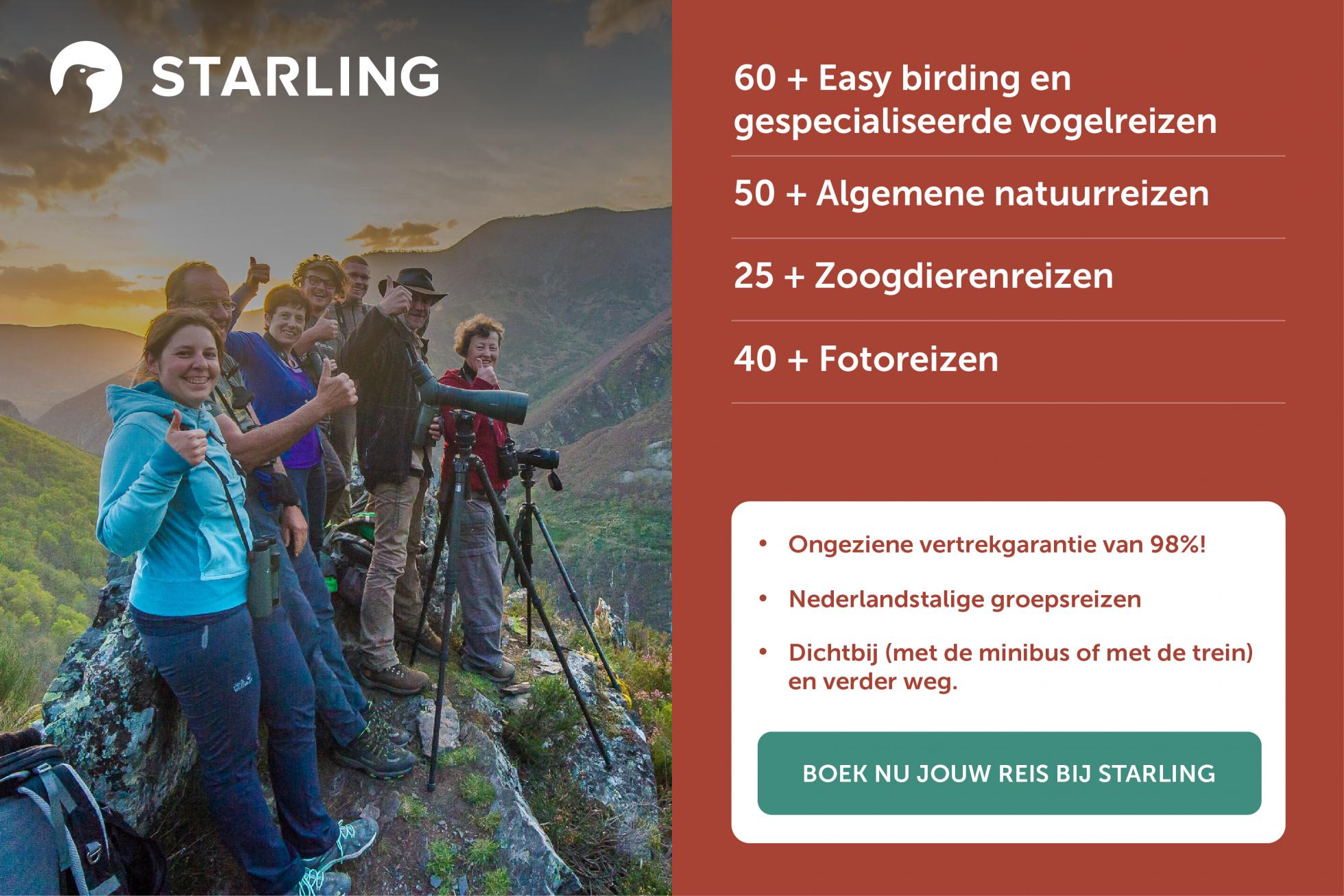 Advertentie Starling reizen