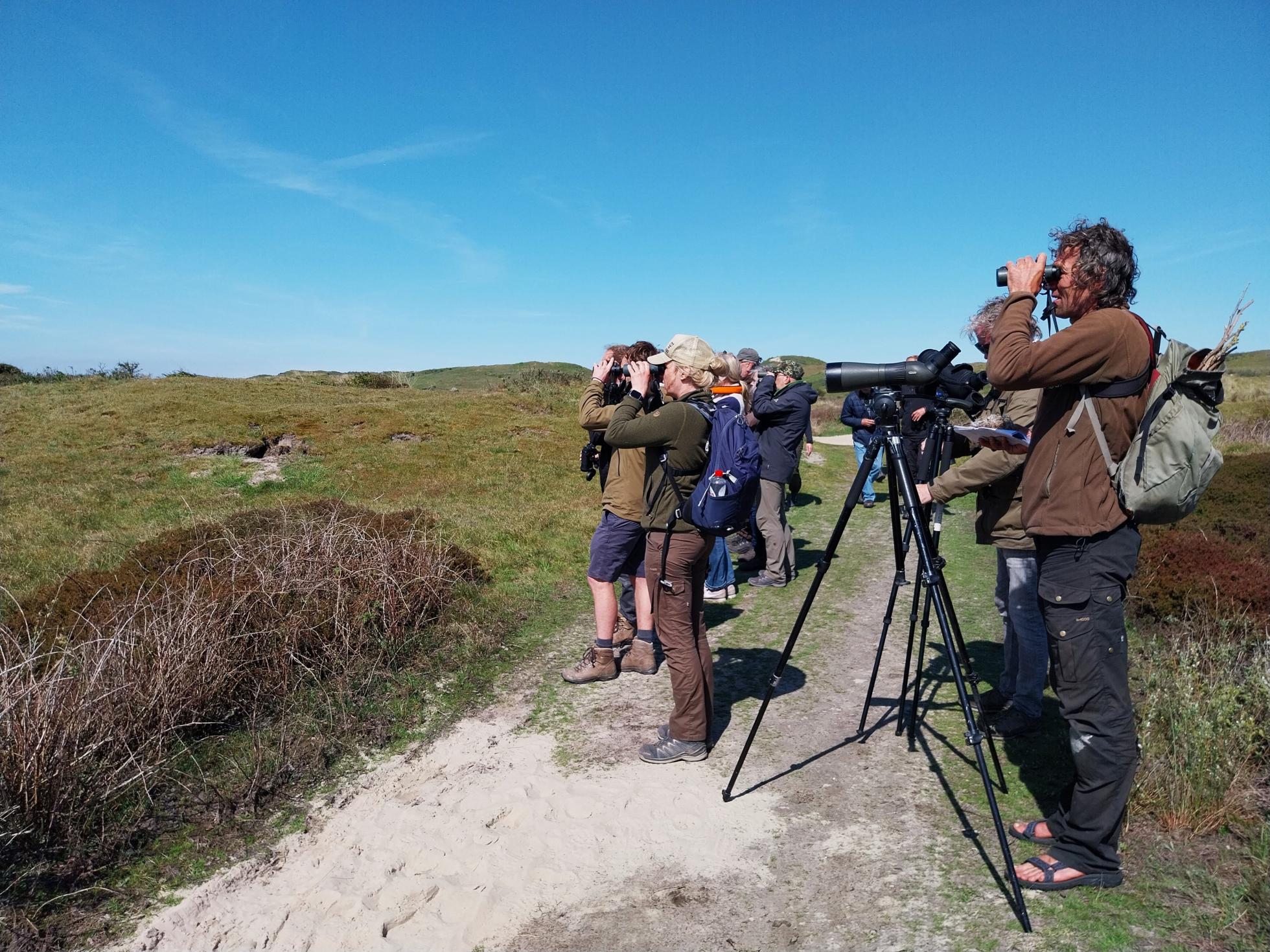 Tapuiten excursie op Texel