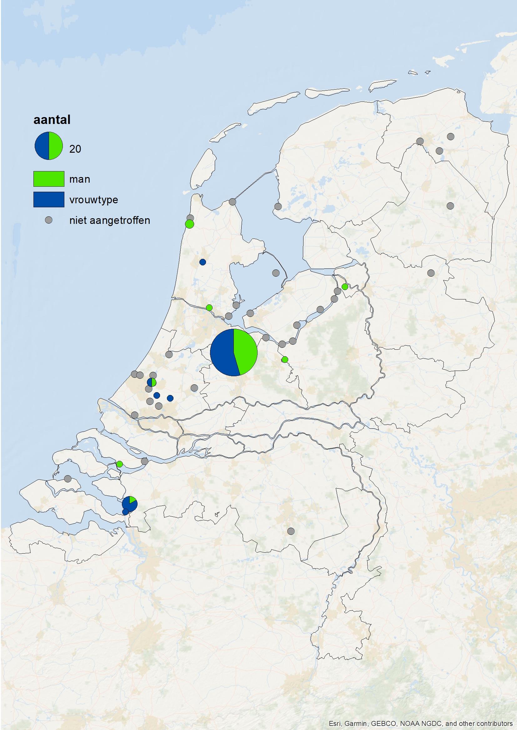 Winterverspreiding Rosse Stekelstaat 23/24