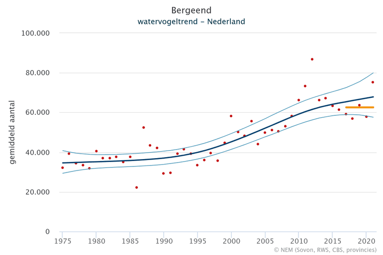 Seizoensgemiddelden van de bergeend in Nederland in periode van 1975 tot 2020 