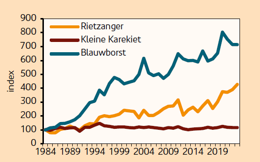 rietvogels