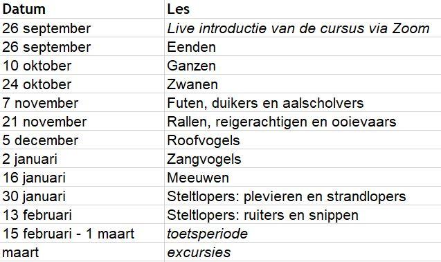 rooster lesdata cursus