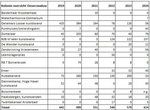 Oeverzwaluwkolonies Twente in 2024