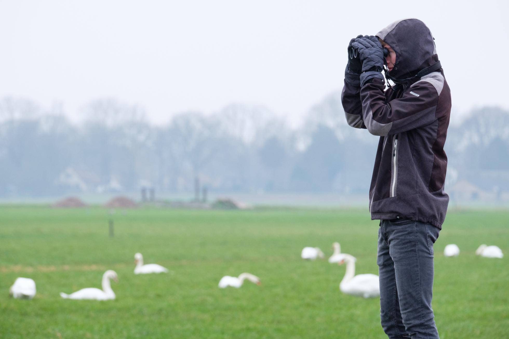 Een midwinterteller aan het werk