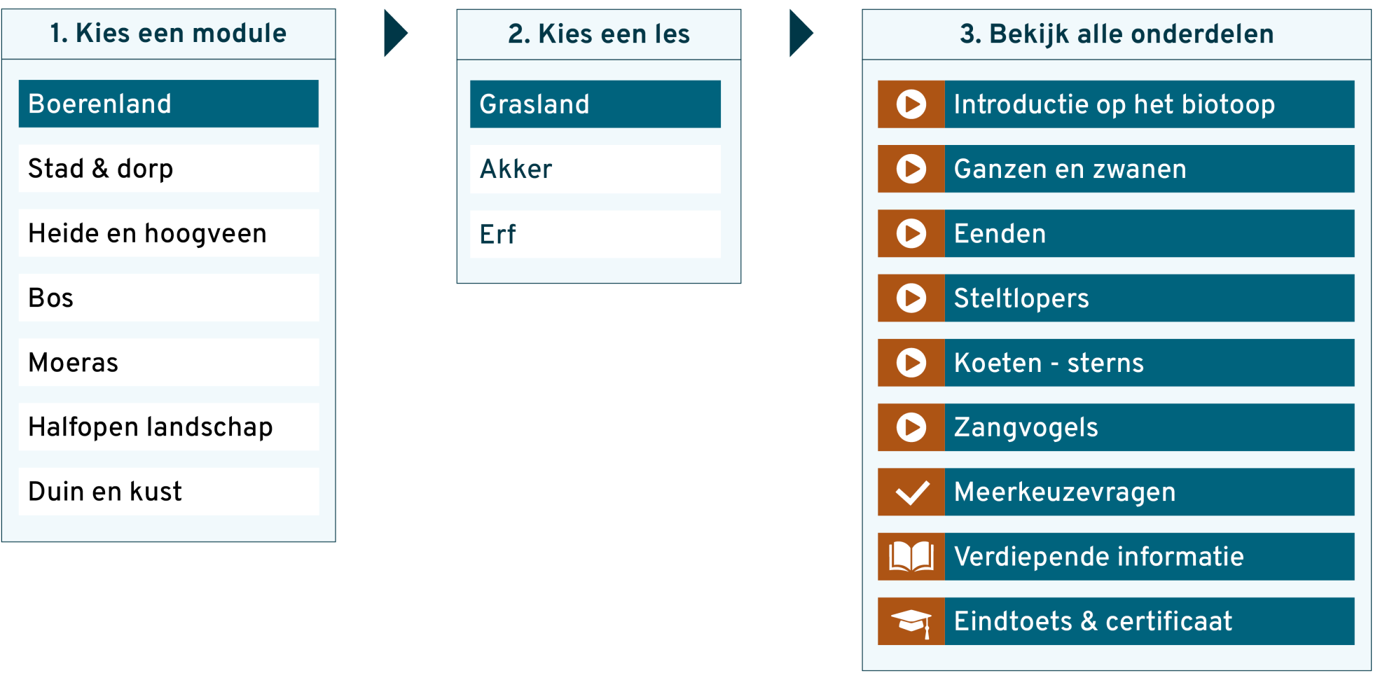 Schema verdiepingscursus