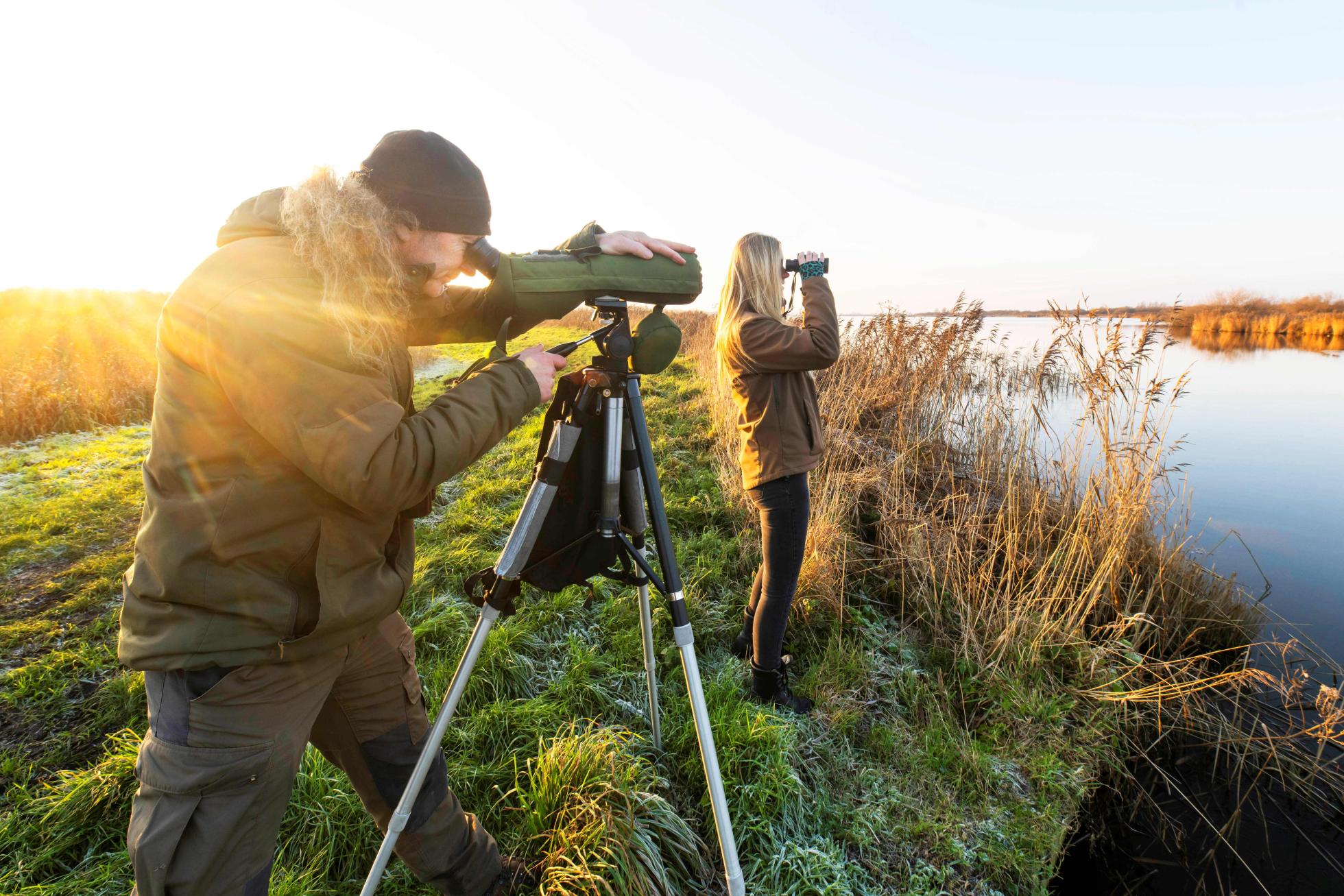 Vogeltellers in het veld