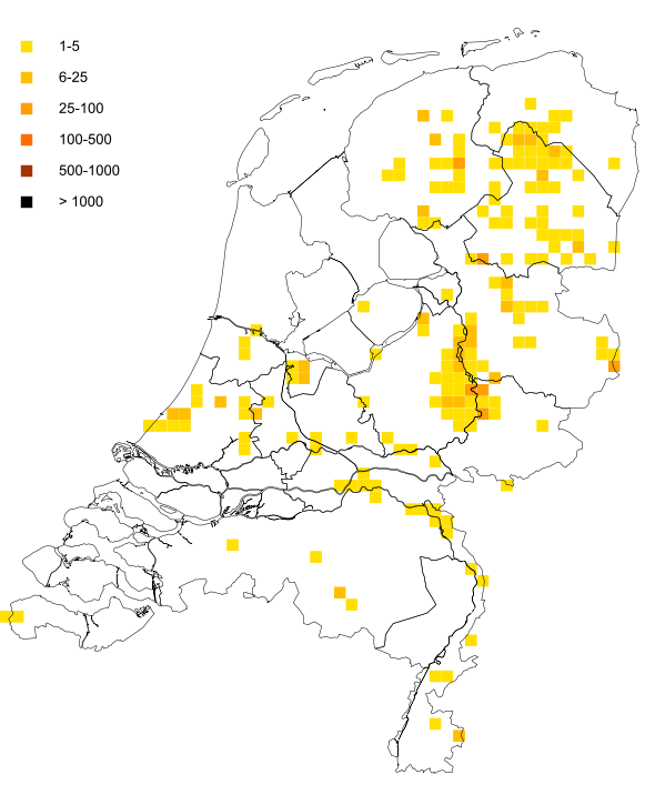 Nestkaarten Ooievaars