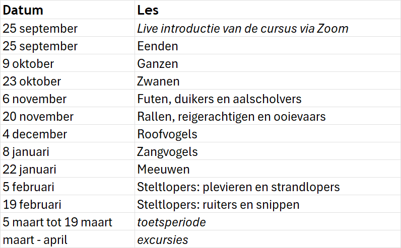 Rooster lessen - 2025-2026