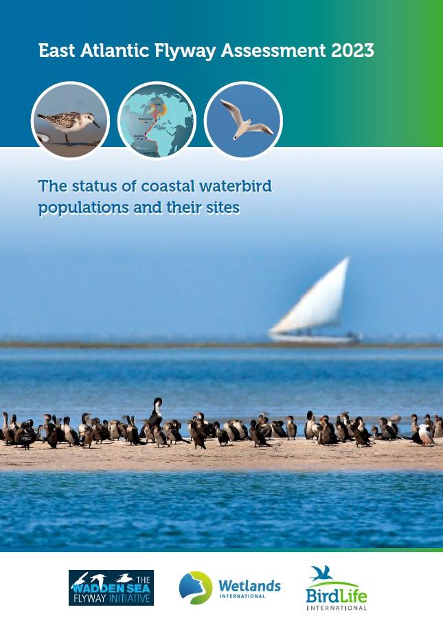 flywayrapport
