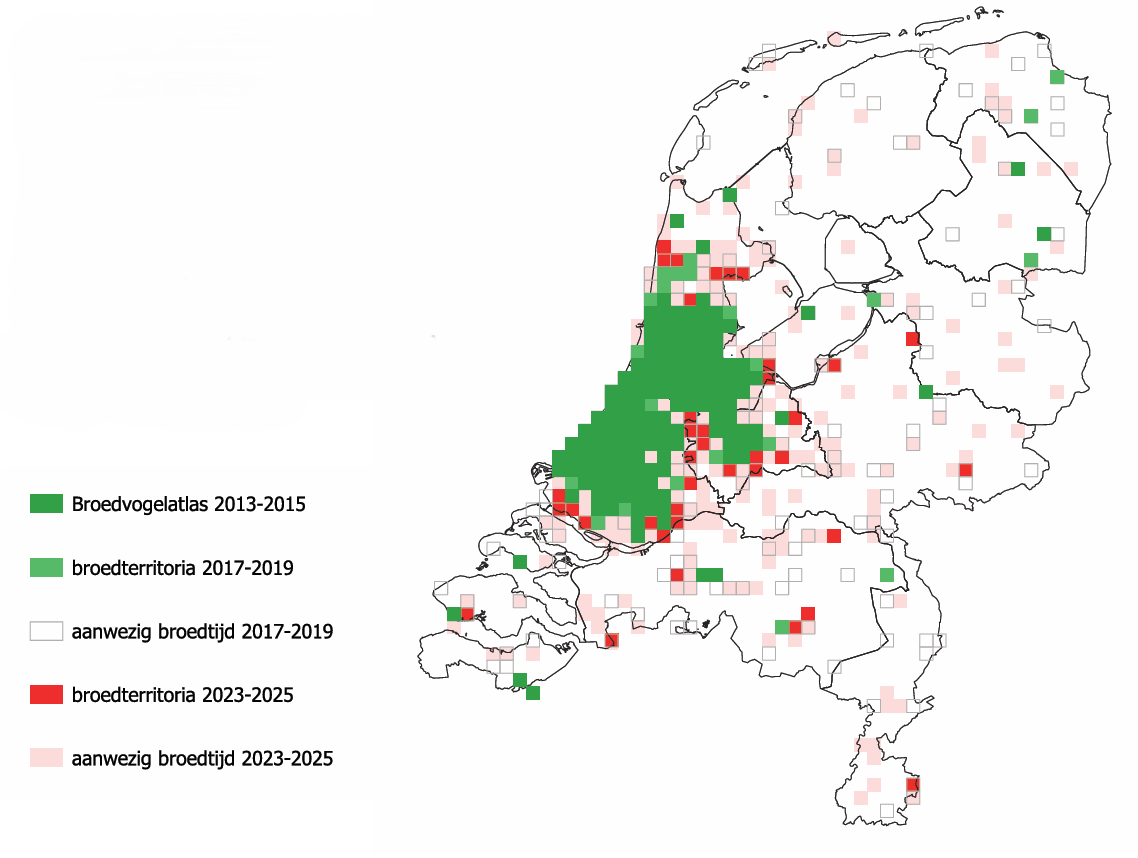 Figuur 1. Gereconstrueerde  verspreiding van de hals bandparkiet in de broedtijd  in 2023-2025 en de verande ring in de verspreiding sinds  2013-2015. Bronnen: Sovon,  Waarneming.nl
