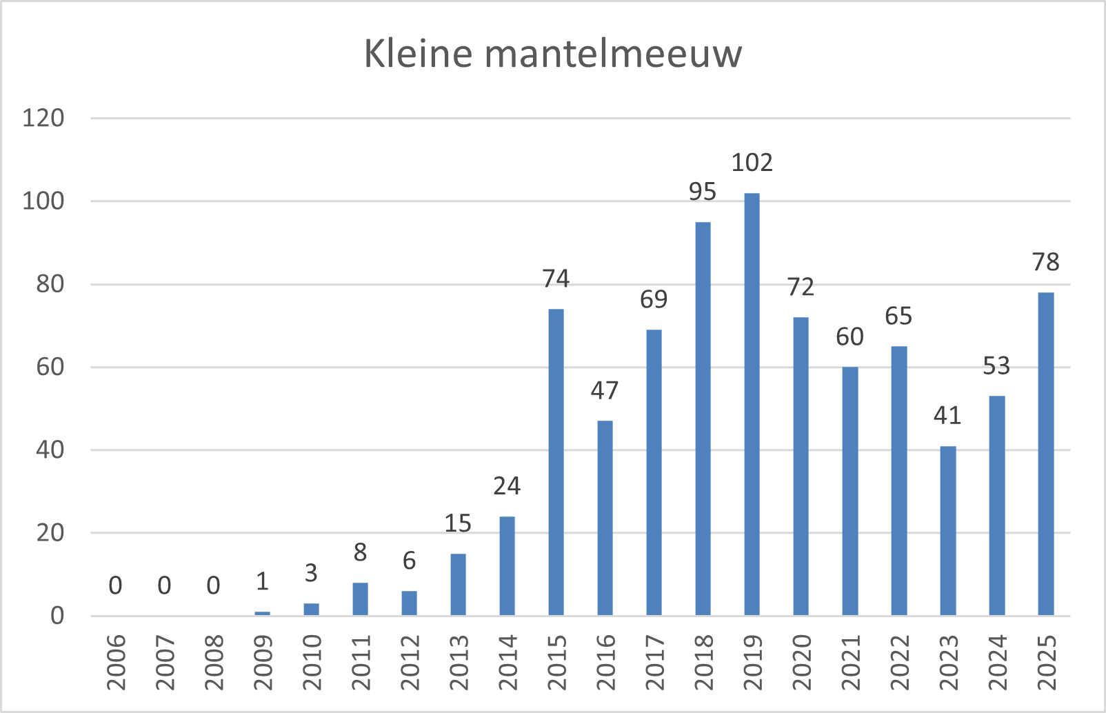 kleine mantelmeeuw zo brabant