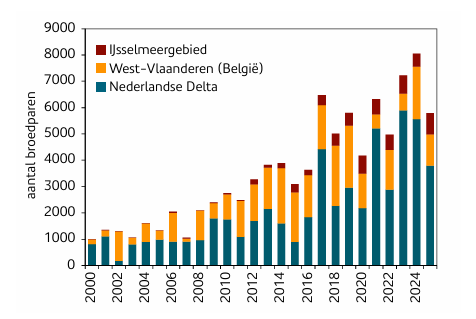 Figuur 2. Aantalsontwikkeling van Zwartkopmeeuwen per broedregio. De  kolonies in de Nederlandse Delta en het Belgische West-Vlaanderen, met  daarin het havengebied van Antwerpen, vormen één populatie.   Bronnen: Deltamilieu Projecten (DMP), Instituut voor Natuur- en Bosonderzoek  (INBO) en Meetnet Broedvogels.