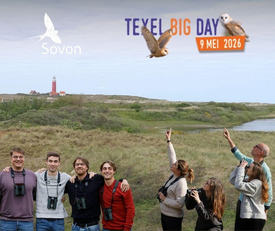 Teams van Texel Big Day