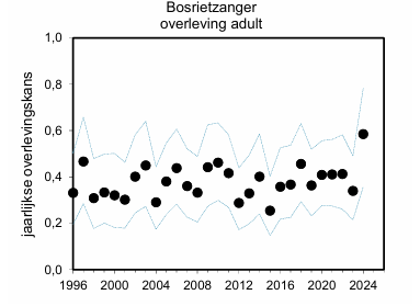 De Bosrietzanger sprong eruit met de hoogst gemeten overleving tot  nu toe voor deze soort