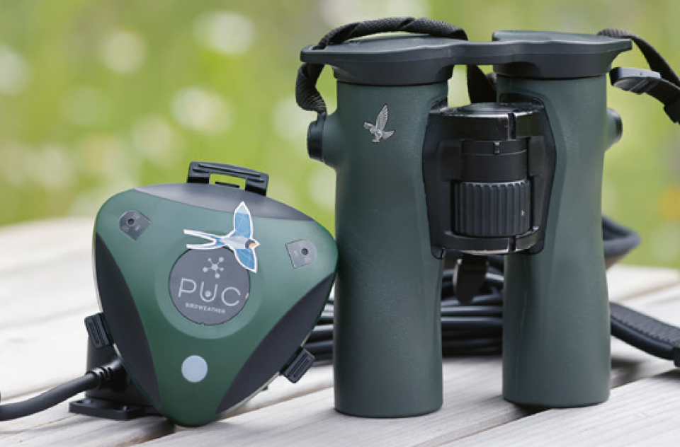 Birdweather PUC met een verrekijker