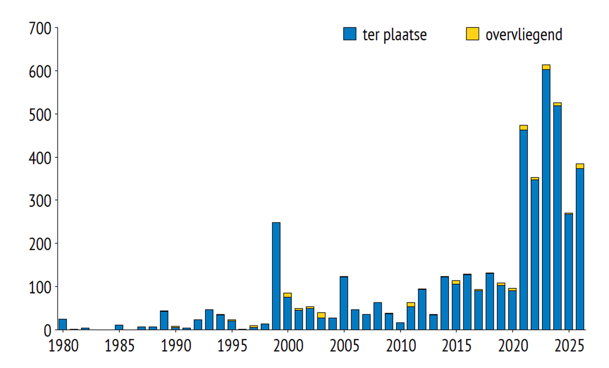 Jaartotalen van Steltkluut in Zeeland in periode 1980-2025. Bron: Mario Aspeslagh
