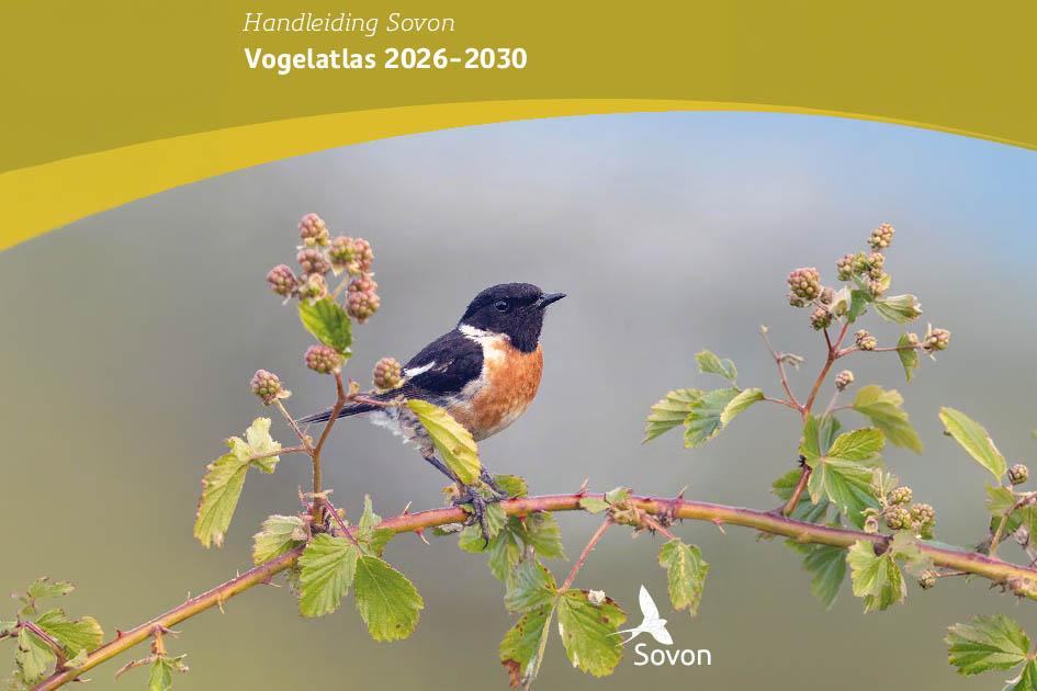 Handleiding Vogelatlas