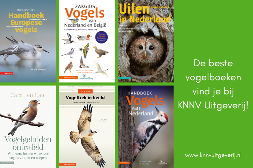 KNNVuitgeverij_adv. online