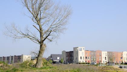 Oude natuur bij een nieuwbouwwijk