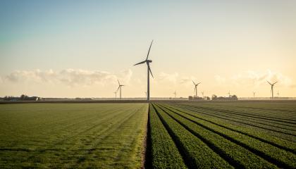 Windturbines in een polderlandschap