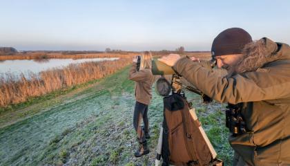 Watervogeltelling Grote Wielen MVK