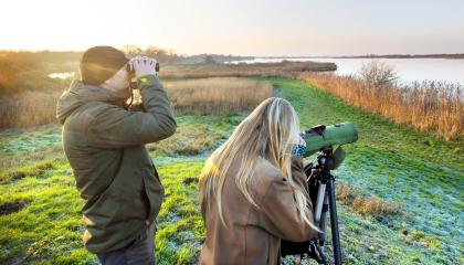 Watervogeltellers in actie