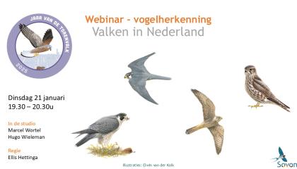 Promoplaatje webinar valkenherkenning