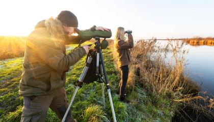 Vogeltellers in het veld