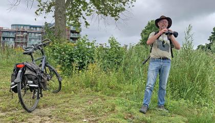 Dik Bos